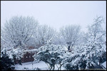 DigitalScape Photography